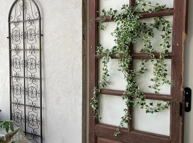 Neveritas * Piedrahita