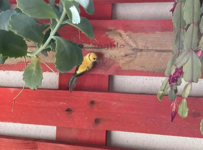 Hétvégi ház Neveritas Piedrahita